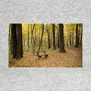 Bench in the Woods T-Shirt